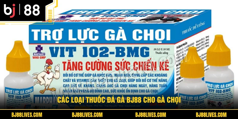Các loại thuốc đá gà BJ88 cho gà chọi